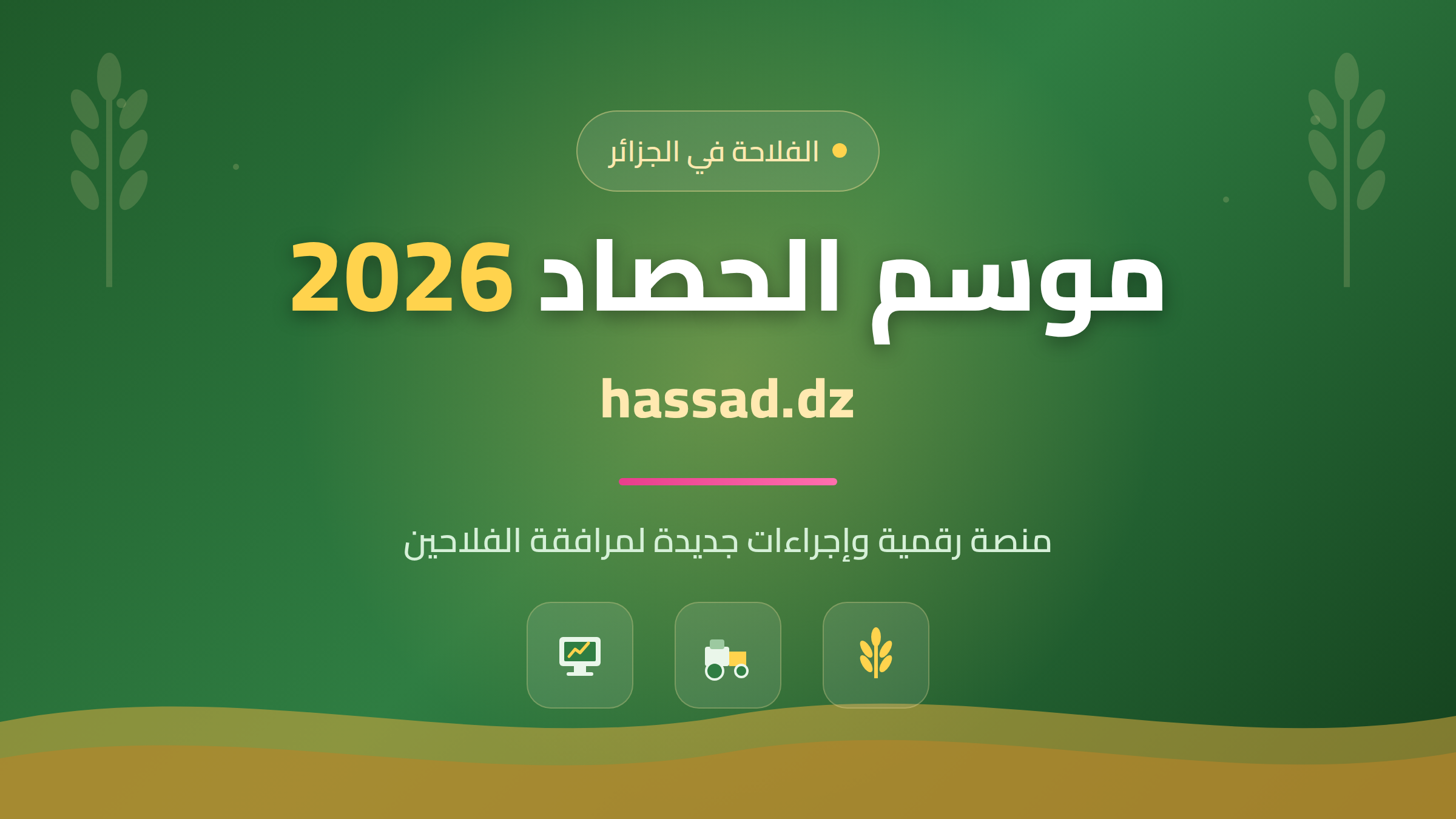 موسم حصاد القمح 2026 في الجزائر ومنصة hassad.dz